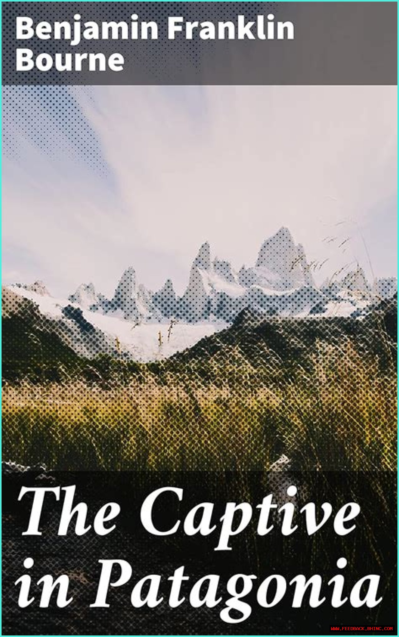 A Harrowing Tale Of Survival And Resilience