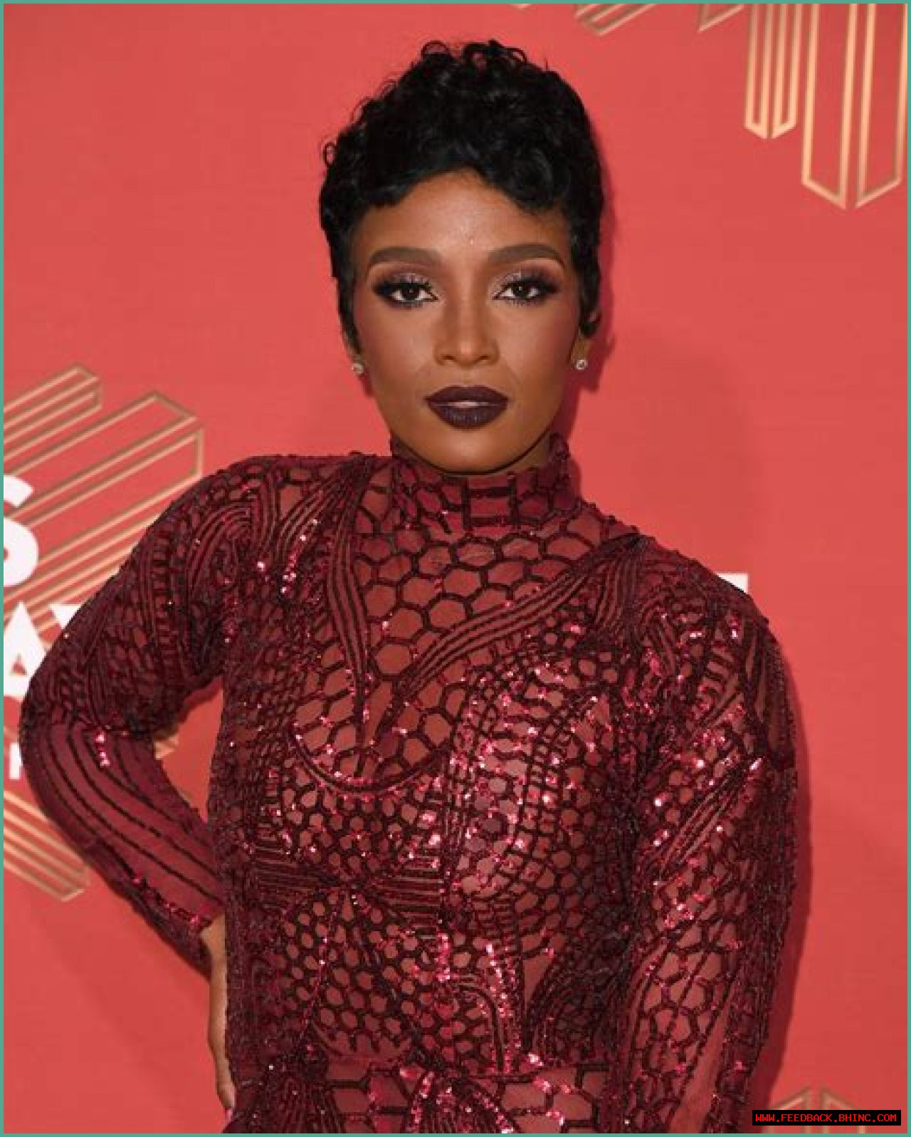 Ariane Davis Net Worth 2024, Age, Height, Bio, Birthday, Wiki!