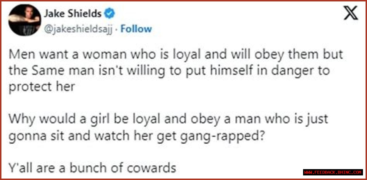 Former UFC star Jake Shields slams husband who watched at knifepoint as his influencer wife was gangraped by seven men in India: 'It's your job to protect her even if you risk death'