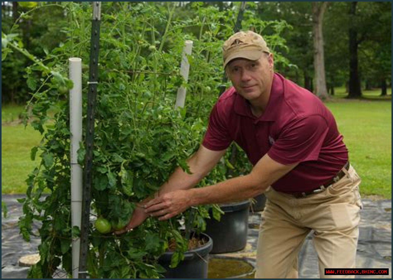 Planting Design Fundamentals | Mississippi State University Extension Service