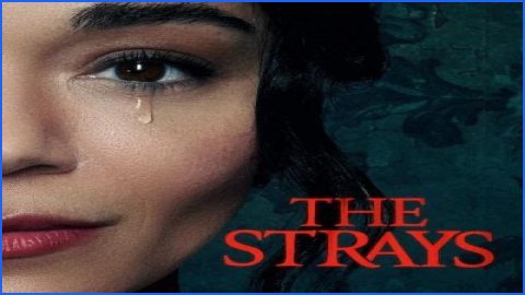 “The Strays” Is Set To Released On Netflix