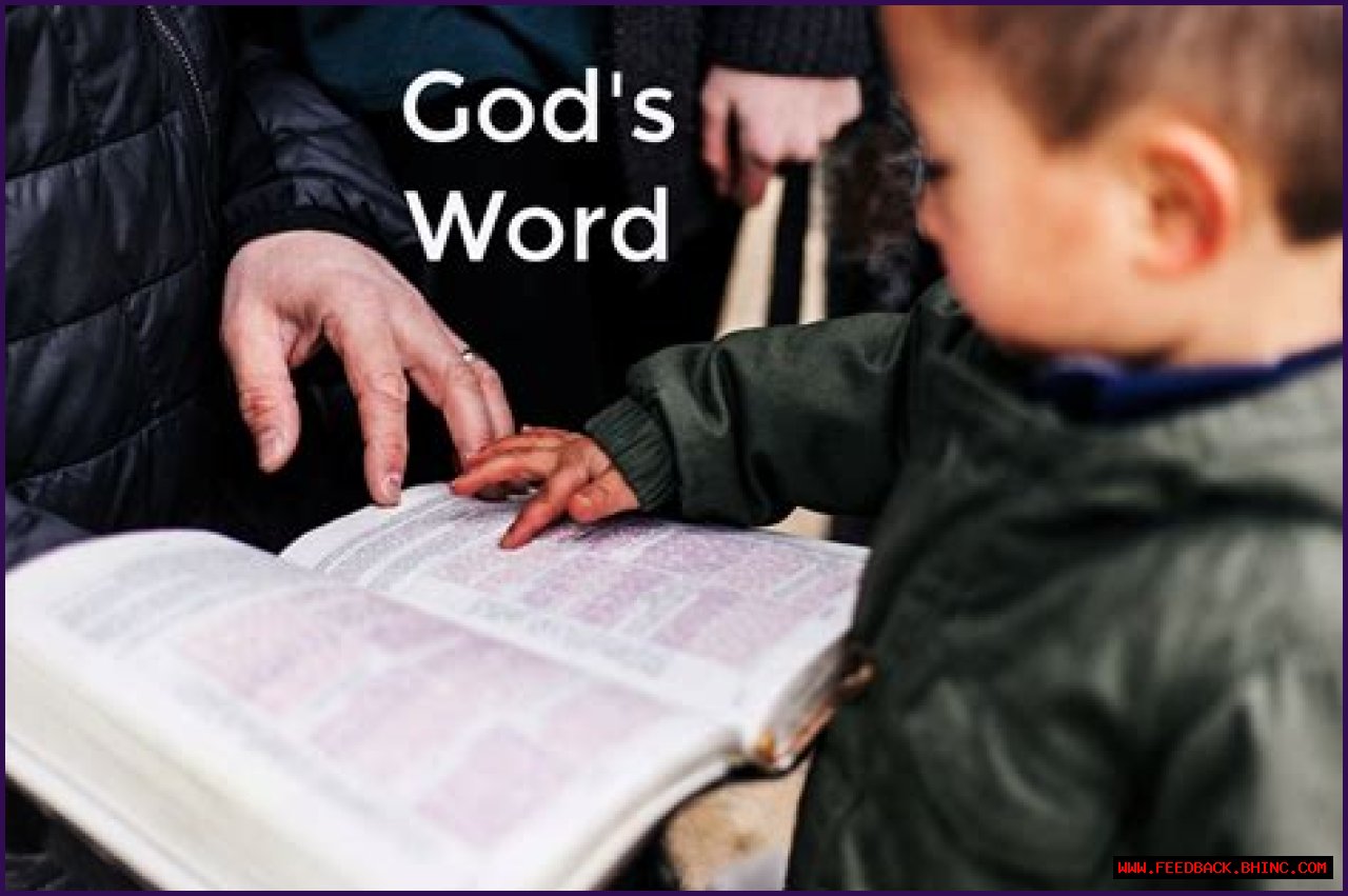 Words often spoken when touching a Bible: 2 wds.